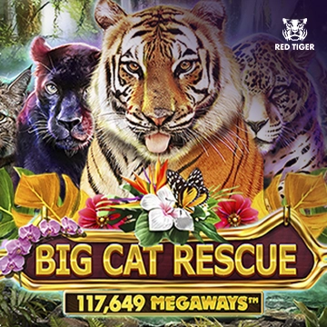 Redtiger : Big Cat Rescue Megaways - ZENPLAY77