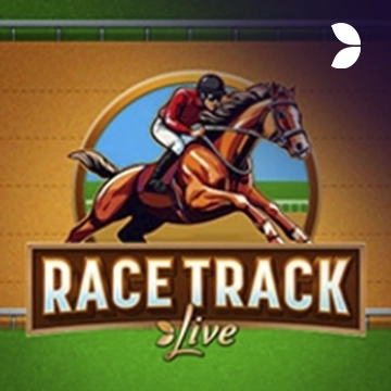 Race Track - ZENPLAY77