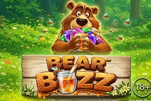 Bear Buzz - ZENPLAY77