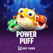 Power Puff - ZENPLAY77
