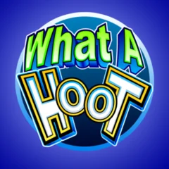 What A Hoot - ZENPLAY77