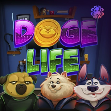 Doge Life - ZENPLAY77