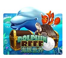 Joker123 : Dolphin Reef - ZENPLAY77