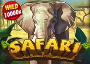 Safari - ZENPLAY77