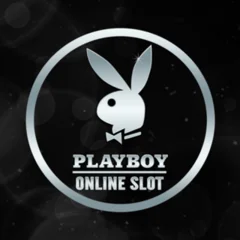 Playboy - ZENPLAY77