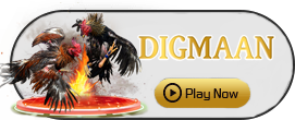 Digman - ZENPLAY77